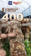 【决胜2020】脱贫成绩单，看看陕西担当！